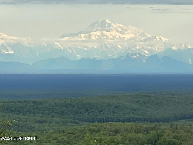 view of mountain feature