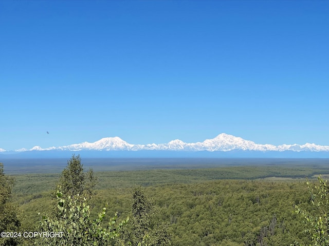 view of mountain view