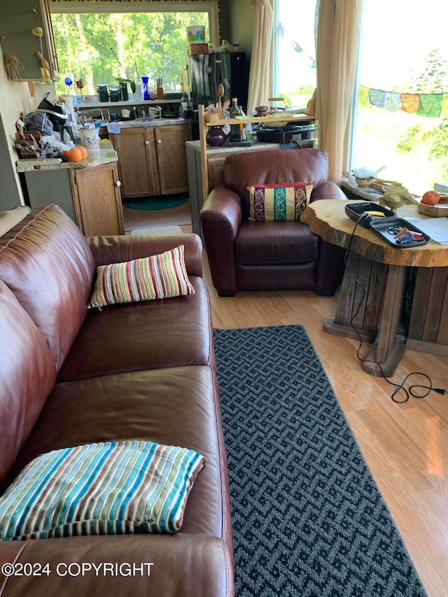 living room featuring light wood-type flooring