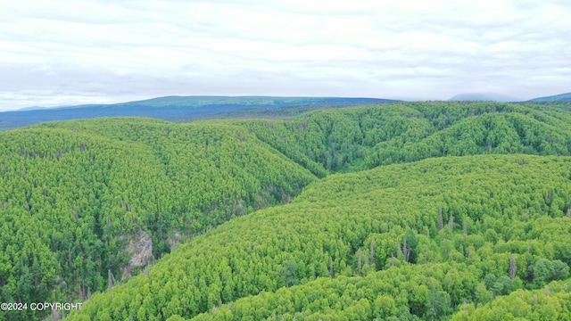 property view of mountains