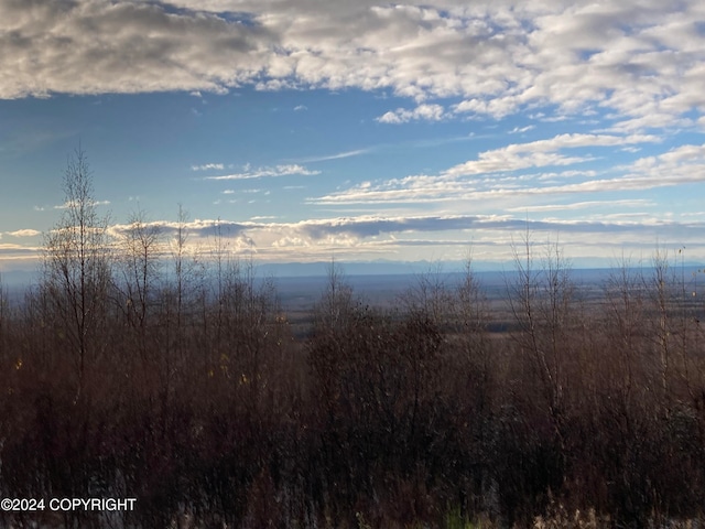 view of landscape