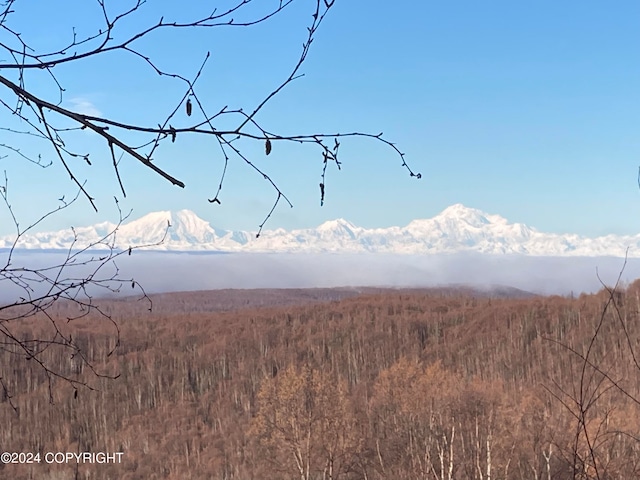 view of mountain feature