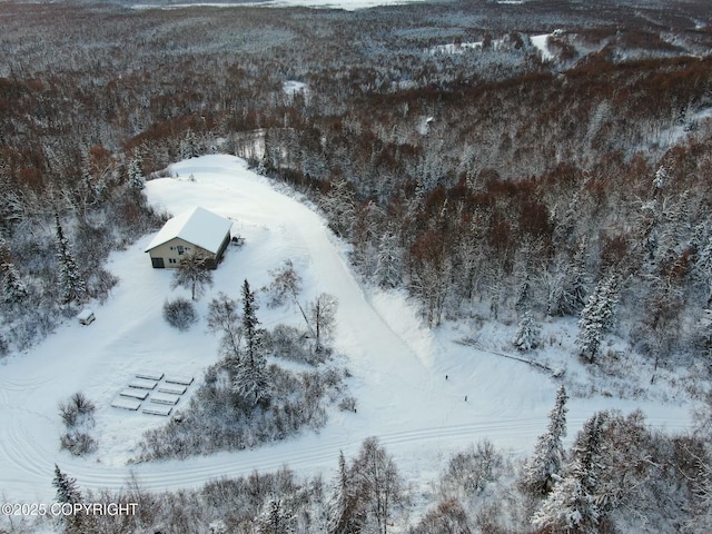 view of snowy aerial view