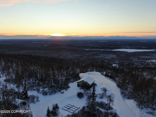 view of snowy aerial view