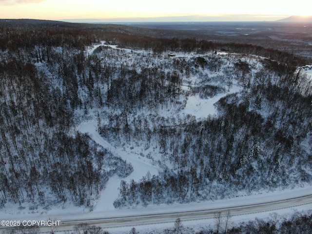 snowy aerial view featuring a mountain view