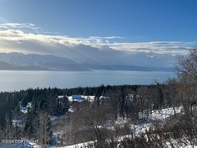 35887 Cloverdale Cir, Homer, AK 99603 - photo 5