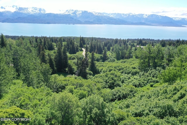 35887 Cloverdale Cir, Homer, AK 99603 - photo 4