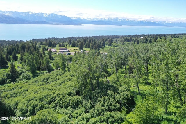 35887 Cloverdale Cir, Homer, AK 99603 - photo 1