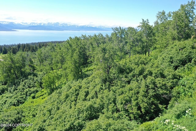 35887 Cloverdale Cir, Homer, AK 99603 - photo 3