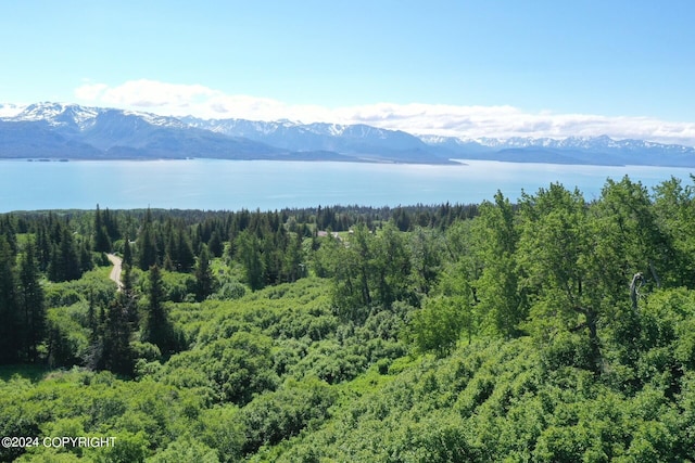 35887 Cloverdale Cir, Homer, AK 99603 - photo 2