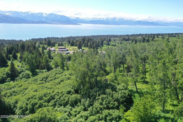 35887 Cloverdale Cir, Homer, AK 99603 - photo 6