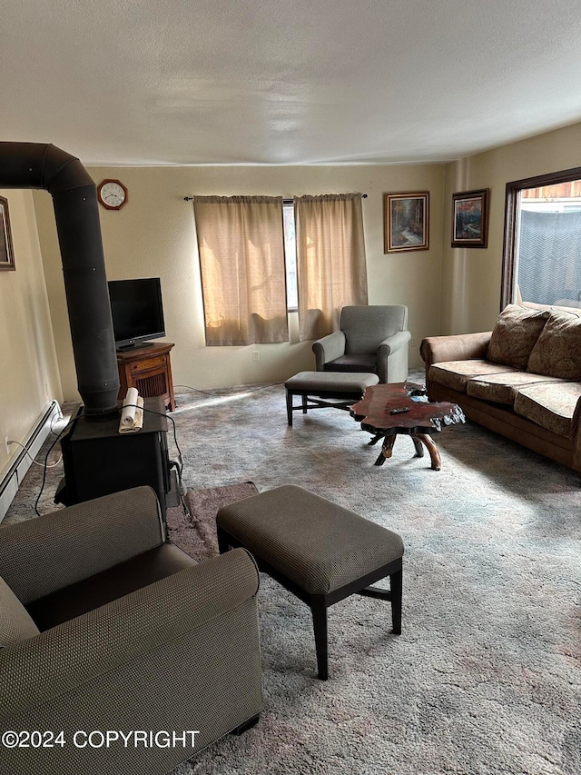 carpeted living room featuring a wood stove