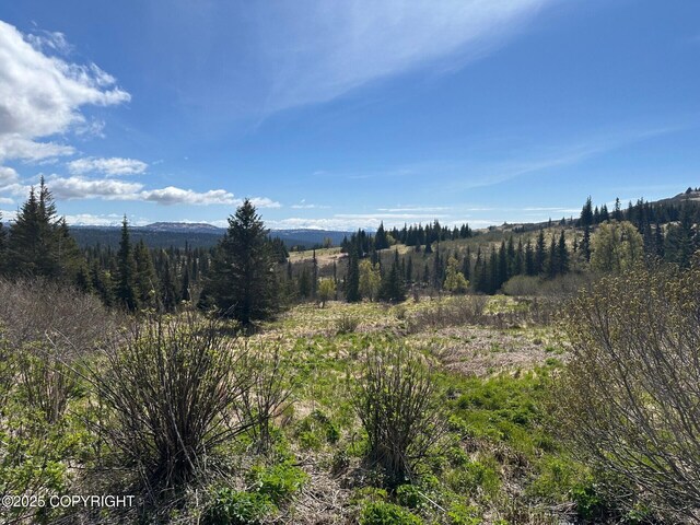 63687 Inez Ave, Anchor Point, AK 99556 - photo 3