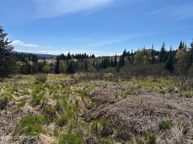 63687 Inez Ave, Anchor Point, AK 99556 - photo 18
