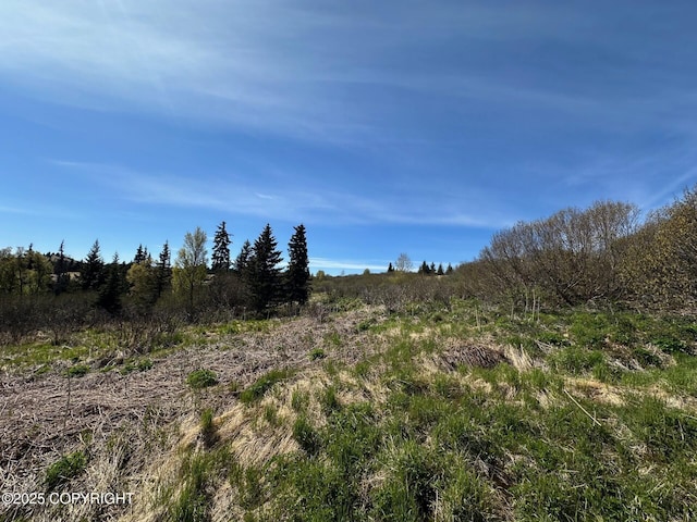 63687 Inez Ave, Anchor Point, AK 99556 - photo 19