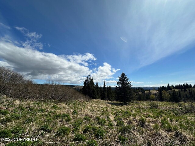 63687 Inez Ave, Anchor Point, AK 99556 - photo 20