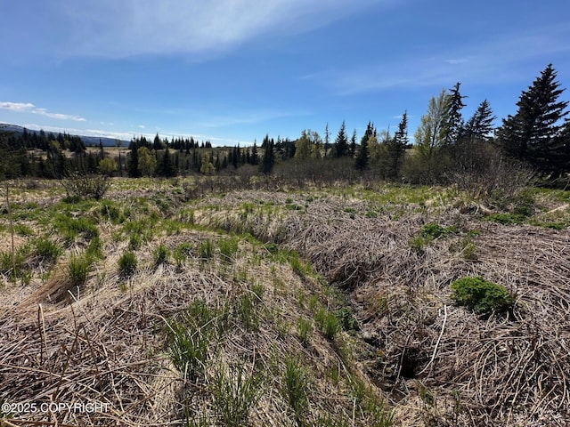 63687 Inez Ave, Anchor Point, AK 99556 - photo 21