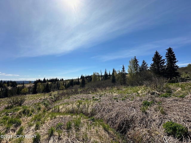63687 Inez Ave, Anchor Point, AK 99556 - photo 22