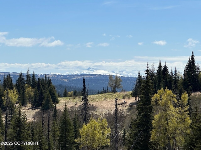 63687 Inez Ave, Anchor Point, AK 99556 - photo 4