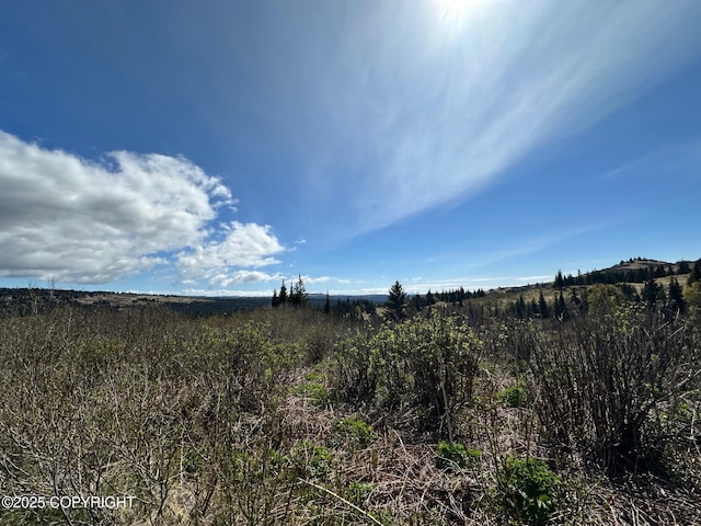 63687 Inez Ave, Anchor Point, AK 99556 - photo 23