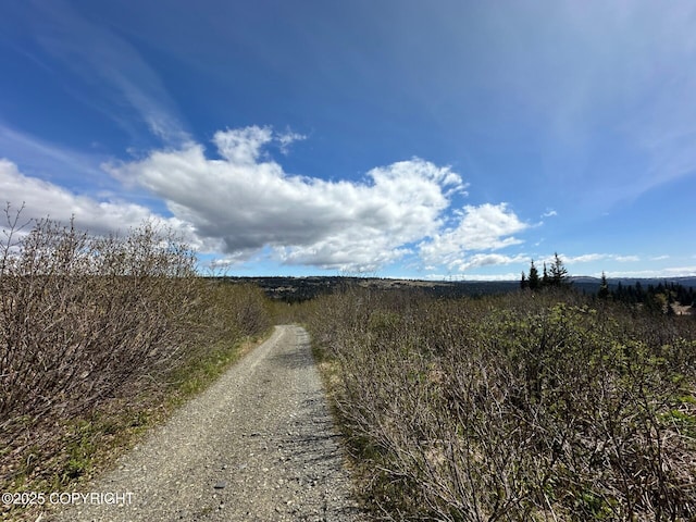 63687 Inez Ave, Anchor Point, AK 99556 - photo 24