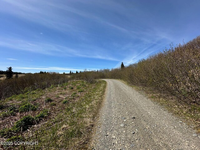63687 Inez Ave, Anchor Point, AK 99556 - photo 25