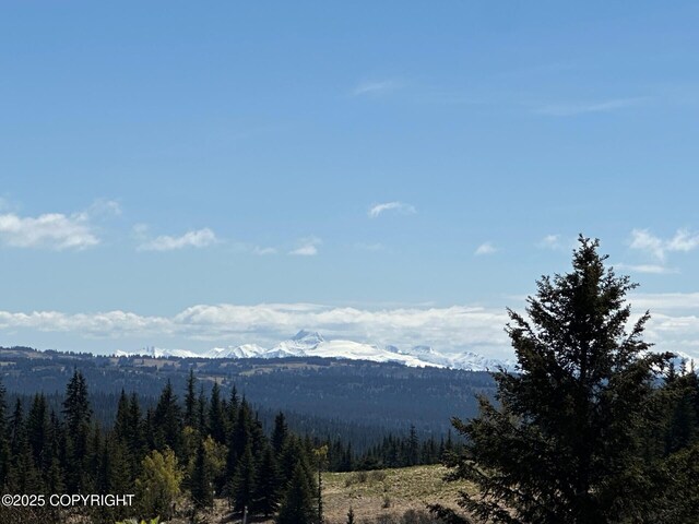 63687 Inez Ave, Anchor Point, AK 99556 - photo 2