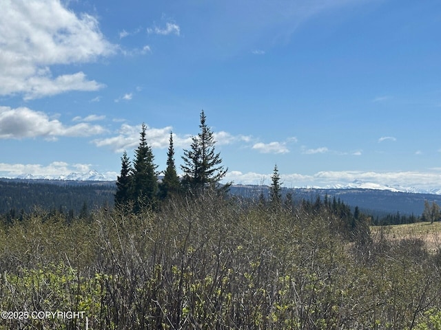 63687 Inez Ave, Anchor Point, AK 99556 - photo 26