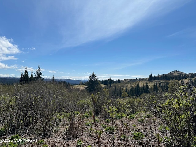 63687 Inez Ave, Anchor Point, AK 99556 - photo 27