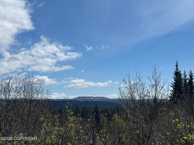 63687 Inez Ave, Anchor Point, AK 99556 - photo 28