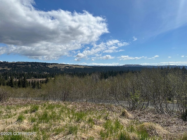 63687 Inez Ave, Anchor Point, AK 99556 - photo 29
