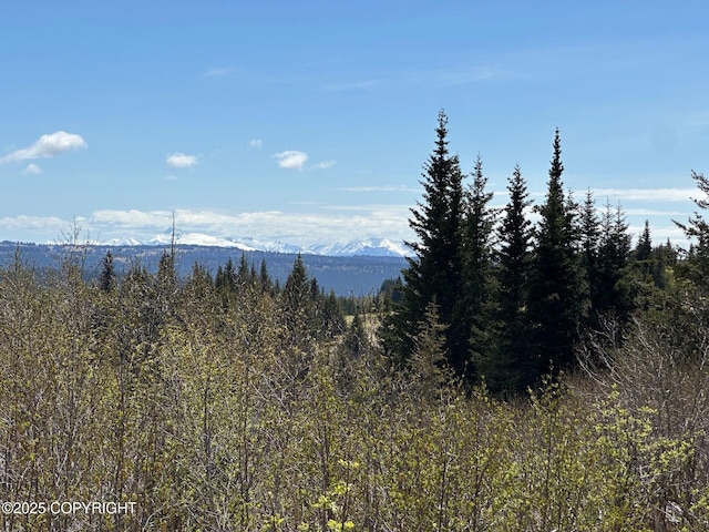 63687 Inez Ave, Anchor Point, AK 99556 - photo 30
