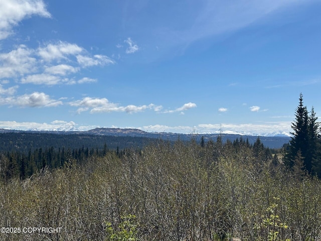 63687 Inez Ave, Anchor Point, AK 99556 - photo 6