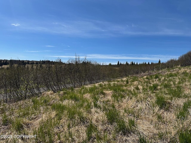 63687 Inez Ave, Anchor Point, AK 99556 - photo 7