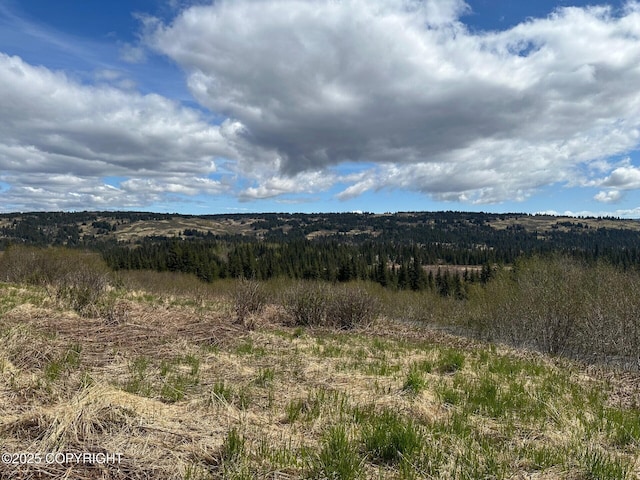 63687 Inez Ave, Anchor Point, AK 99556 - photo 8