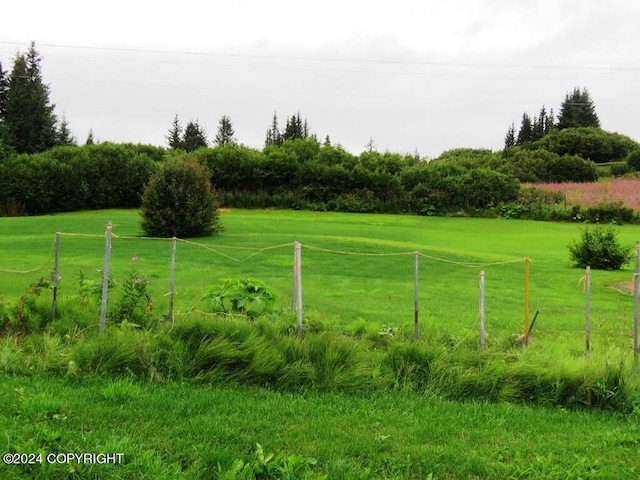 view of yard featuring a rural view