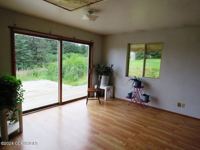 interior space with light hardwood / wood-style floors