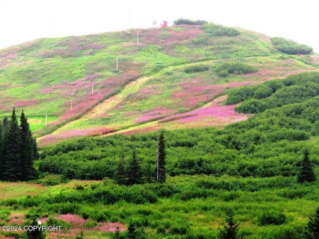 aerial view featuring a rural view and a mountain view