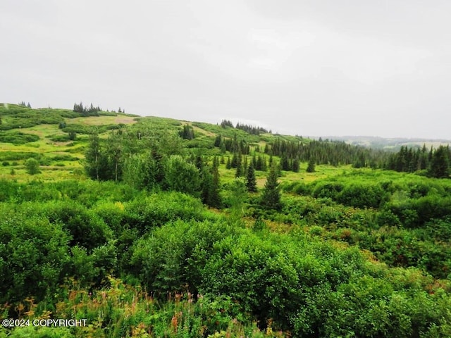 view of local wilderness with a rural view