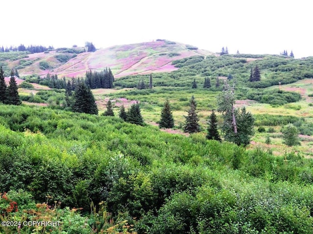 view of mountain feature with a rural view