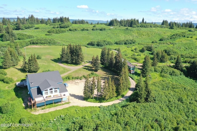 aerial view featuring a rural view