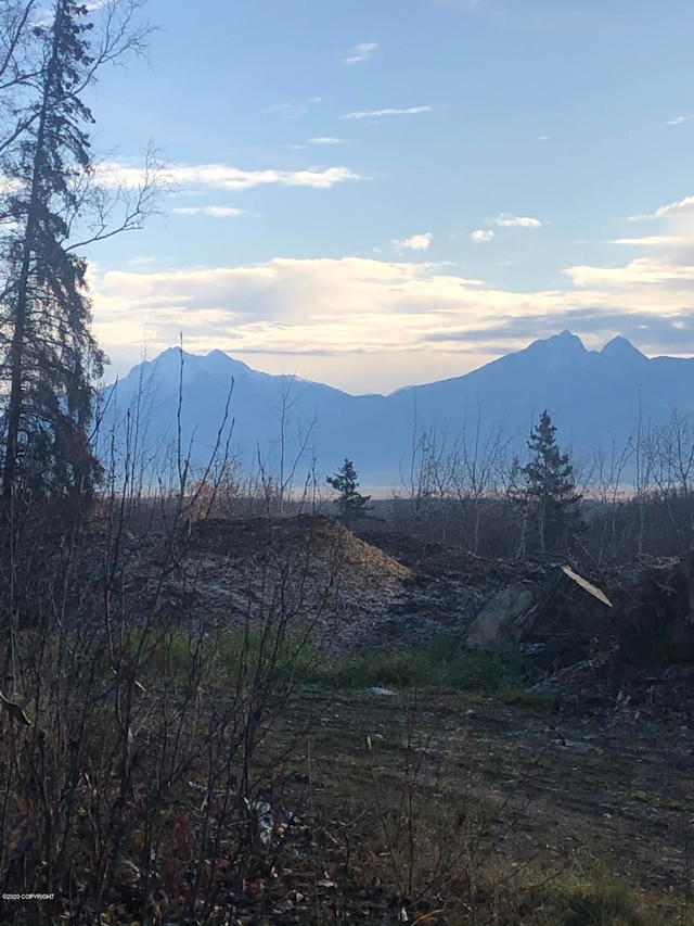 Listing photo 3 for 5560 W Birch Harbor Dr, Wasilla AK 99623