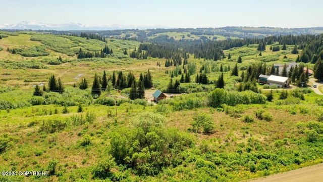 birds eye view of property with a rural view