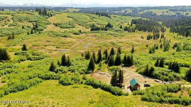 aerial view featuring a rural view