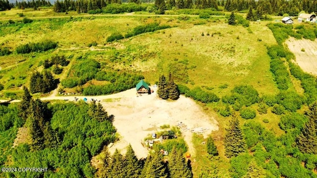 bird's eye view with a rural view