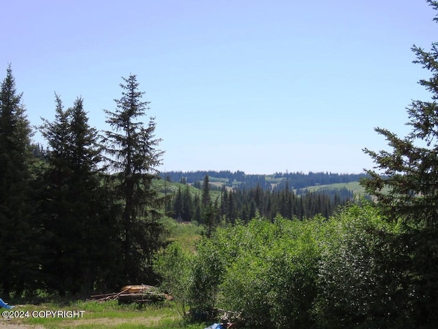 view of local wilderness featuring a forest view