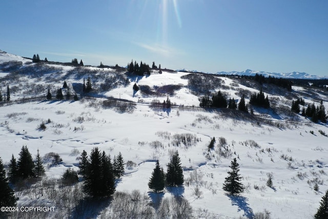 view of mountain feature