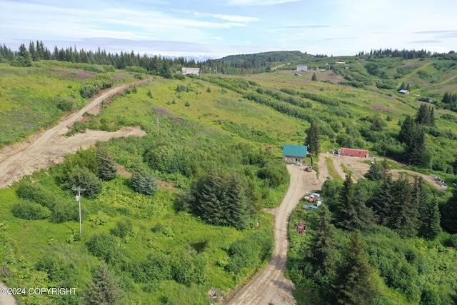 drone / aerial view featuring a rural view