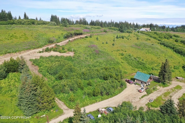 aerial view featuring a forest view