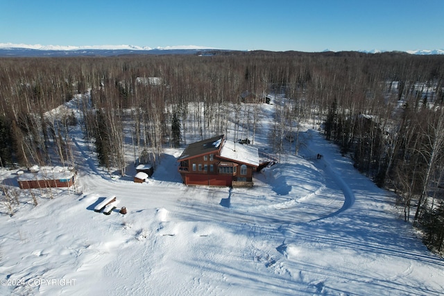 view of snowy aerial view